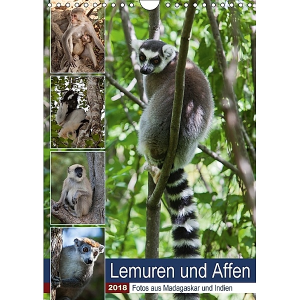 Lemuren und Affen - Fotos aus Madagaskar und Indien (Wandkalender 2018 DIN A4 hoch), Sabine Reuke
