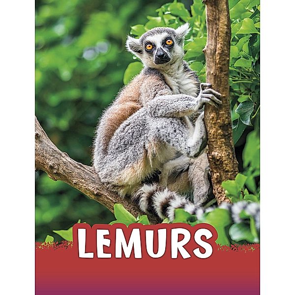 Lemurs / Raintree Publishers, Jaclyn Jaycox