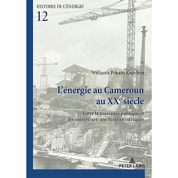 L'énergie au Cameroun au XXe siècle, Williams Pokam Kamdem