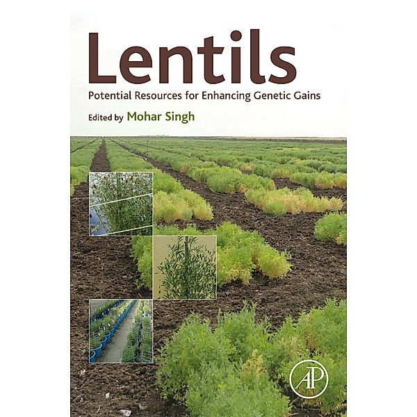 Lentils