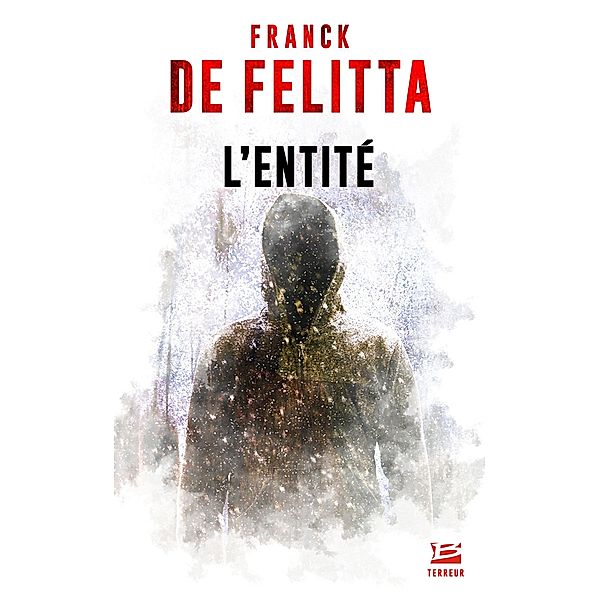 L'Entité / Bragelonne Terreur, Frank de Felitta