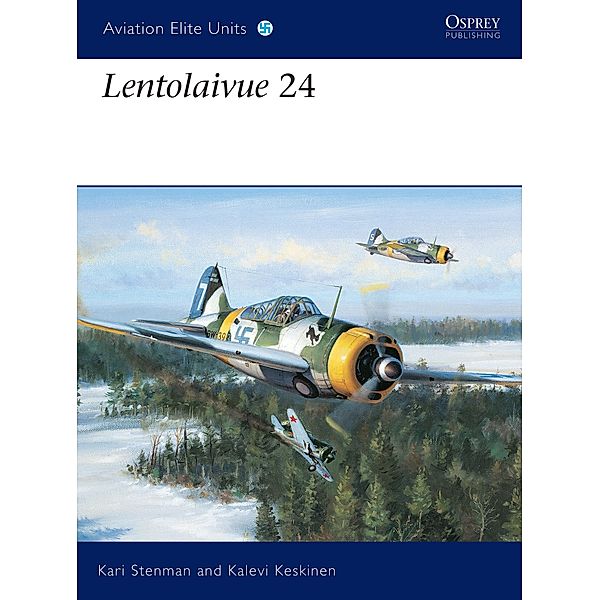 Lentolaivue 24, Kari Stenman