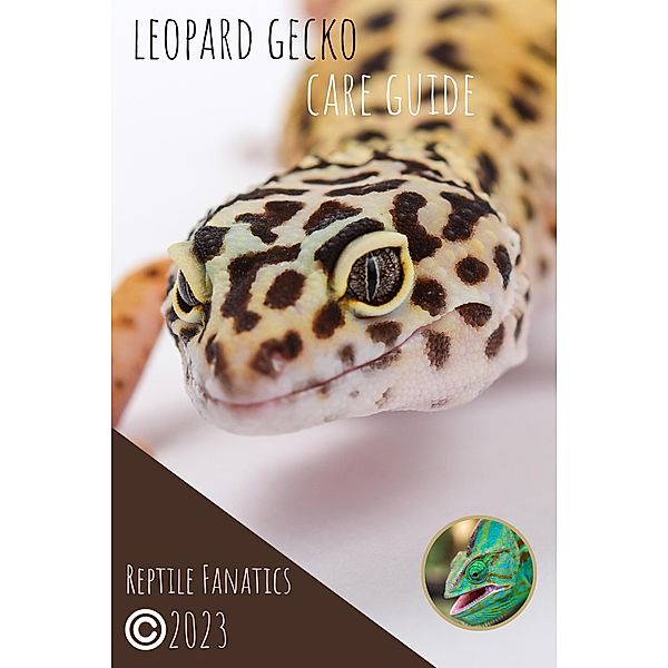 Leopard Gecko Care Guide, Reptile Fanatics