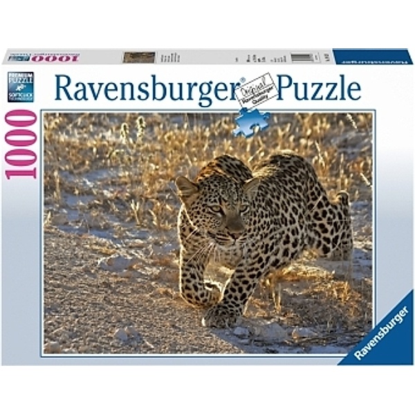 Leopard im Morgenlicht (Puzzle)