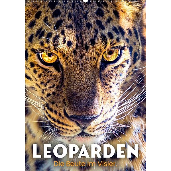 Leoparden - Die Beute im Visier. (Wandkalender 2023 DIN A2 hoch), Happy Monkey