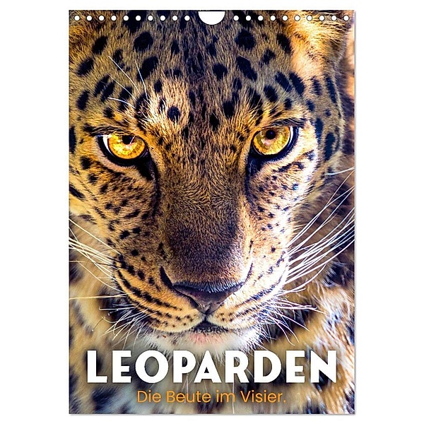 Leoparden - Die Beute im Visier. (Wandkalender 2024 DIN A4 hoch), CALVENDO Monatskalender, Happy Monkey