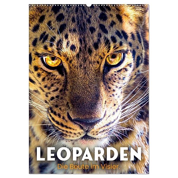 Leoparden - Die Beute im Visier. (Wandkalender 2024 DIN A2 hoch), CALVENDO Monatskalender, Happy Monkey