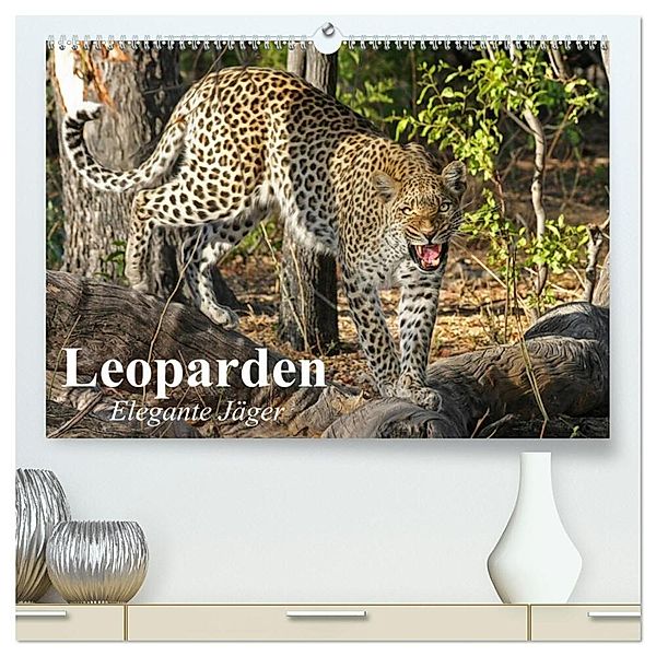 Leoparden. Elegante Jäger (hochwertiger Premium Wandkalender 2024 DIN A2 quer), Kunstdruck in Hochglanz, Elisabeth Stanzer