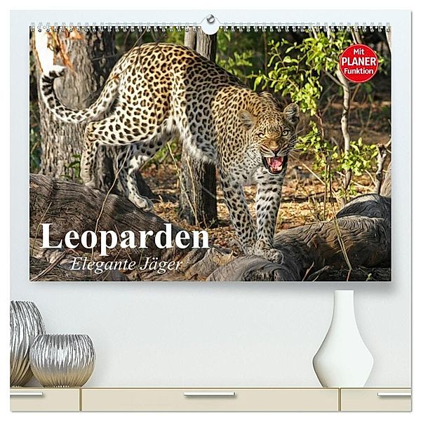 Leoparden. Elegante Jäger (hochwertiger Premium Wandkalender 2024 DIN A2 quer), Kunstdruck in Hochglanz, Elisabeth Stanzer