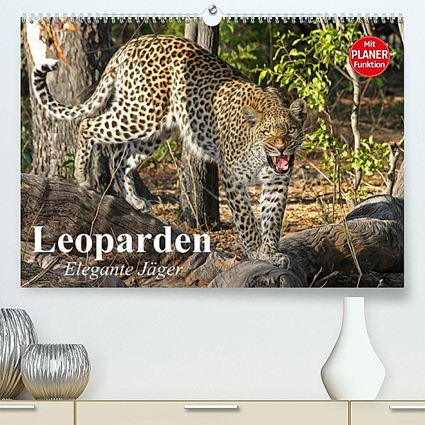 Leoparden. Elegante Jäger (Premium, hochwertiger DIN A2 Wandkalender 2023, Kunstdruck in Hochglanz), Elisabeth Stanzer