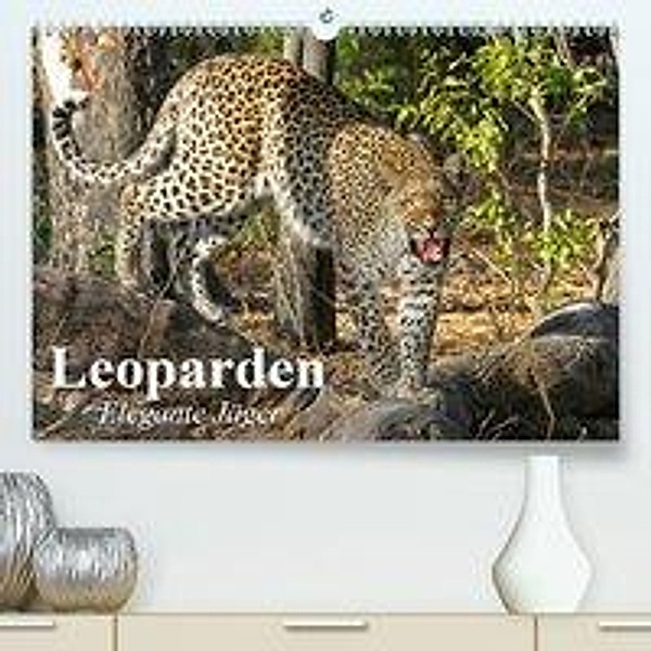 Leoparden. Elegante Jäger (Premium-Kalender 2020 DIN A2 quer), Elisabeth Stanzer