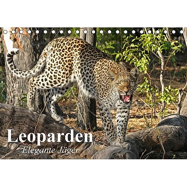 Leoparden. Elegante Jäger (Tischkalender 2017 DIN A5 quer), Elisabeth Stanzer