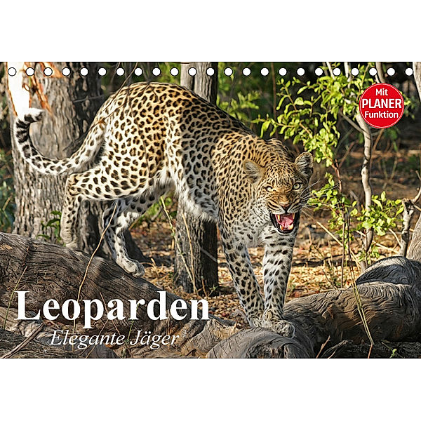 Leoparden. Elegante Jäger (Tischkalender 2018 DIN A5 quer) Dieser erfolgreiche Kalender wurde dieses Jahr mit gleichen B, Elisabeth Stanzer