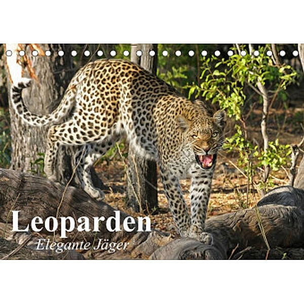 Leoparden. Elegante Jäger (Tischkalender 2022 DIN A5 quer), Elisabeth Stanzer