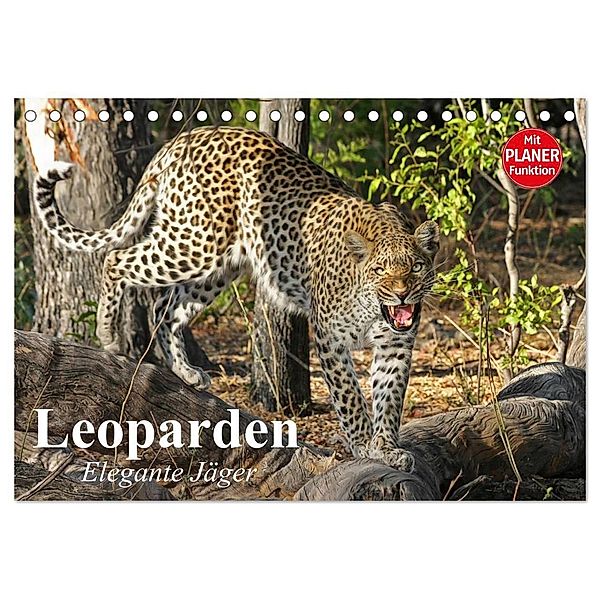 Leoparden. Elegante Jäger (Tischkalender 2024 DIN A5 quer), CALVENDO Monatskalender, Elisabeth Stanzer