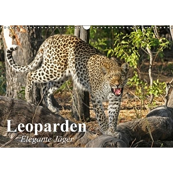 Leoparden. Elegante Jäger (Wandkalender 2016 DIN A3 quer), Elisabeth Stanzer