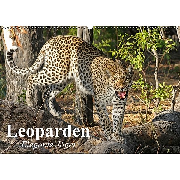 Leoparden. Elegante Jäger (Wandkalender 2018 DIN A2 quer), Elisabeth Stanzer