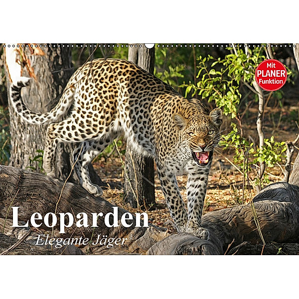 Leoparden. Elegante Jäger (Wandkalender 2018 DIN A2 quer) Dieser erfolgreiche Kalender wurde dieses Jahr mit gleichen Bi, Elisabeth Stanzer