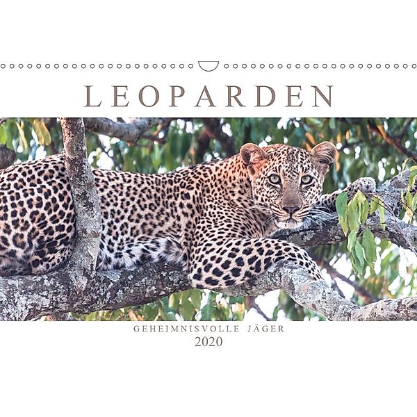 Leoparden - Geheimnisvolle Jäger (Wandkalender 2020 DIN A3 quer), Andreas Lippmann