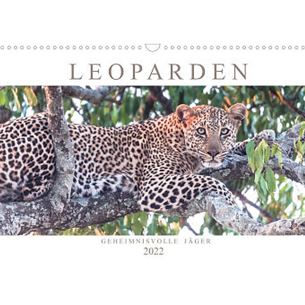 Leoparden - Geheimnisvolle Jäger (Wandkalender 2022 DIN A3 quer), Andreas Lippmann