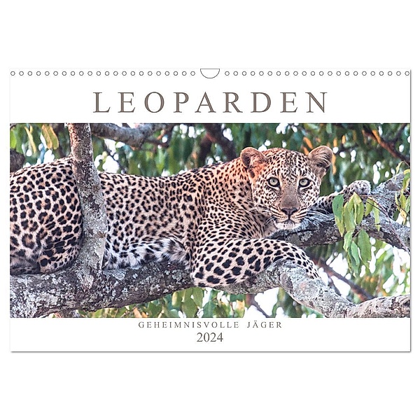 Leoparden - Geheimnisvolle Jäger (Wandkalender 2024 DIN A3 quer), CALVENDO Monatskalender, Andreas Lippmann
