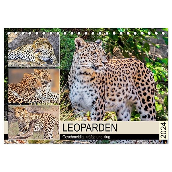 Leoparden. Geschmeidig, kräftig und klug (Tischkalender 2024 DIN A5 quer), CALVENDO Monatskalender, Rose Hurley