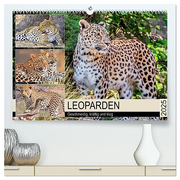 Leoparden. Geschmeidig, kräftig und klug (hochwertiger Premium Wandkalender 2025 DIN A2 quer), Kunstdruck in Hochglanz, Calvendo, Rose Hurley