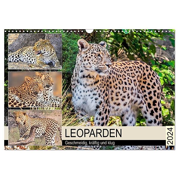 Leoparden. Geschmeidig, kräftig und klug (Wandkalender 2024 DIN A3 quer), CALVENDO Monatskalender, Rose Hurley