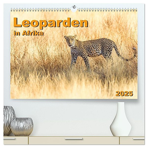 Leoparden in Afrika (hochwertiger Premium Wandkalender 2025 DIN A2 quer), Kunstdruck in Hochglanz, Calvendo, Dr. Gerd-Uwe Neukamp