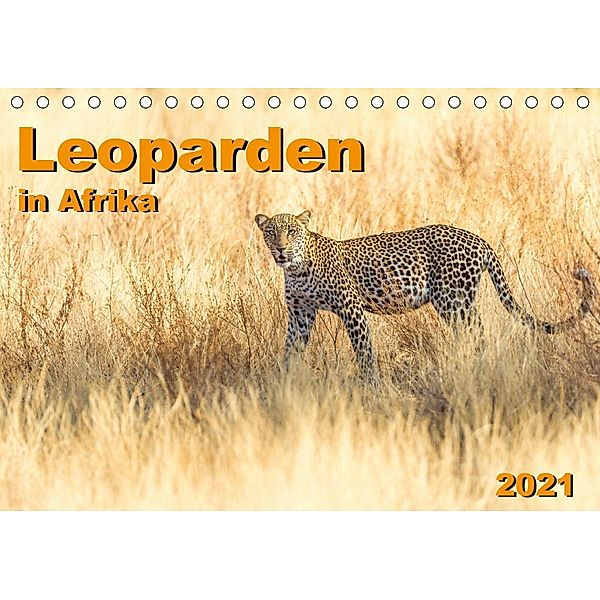 Leoparden in Afrika (Tischkalender 2021 DIN A5 quer), Gerd-Uwe Neukamp