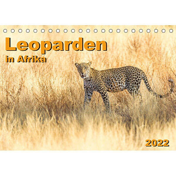 Leoparden in Afrika (Tischkalender 2022 DIN A5 quer), Dr. Gerd-Uwe Neukamp