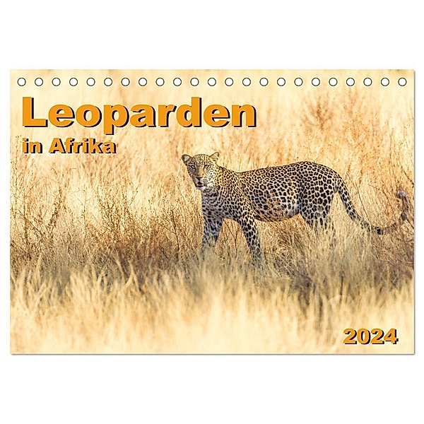 Leoparden in Afrika (Tischkalender 2024 DIN A5 quer), CALVENDO Monatskalender, Dr. Gerd-Uwe Neukamp