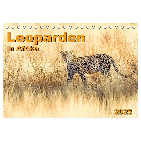 Leoparden in Afrika (Tischkalender 2025 DIN A5 quer), CALVENDO Monatskalender, Calvendo, Dr. Gerd-Uwe Neukamp