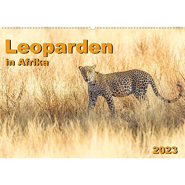 Leoparden in Afrika (Wandkalender 2023 DIN A2 quer), Dr. Gerd-Uwe Neukamp