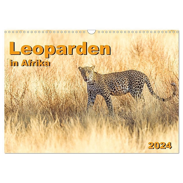 Leoparden in Afrika (Wandkalender 2024 DIN A3 quer), CALVENDO Monatskalender, Dr. Gerd-Uwe Neukamp