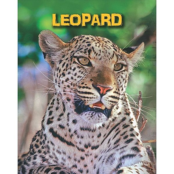 Leopards, Claire Throp