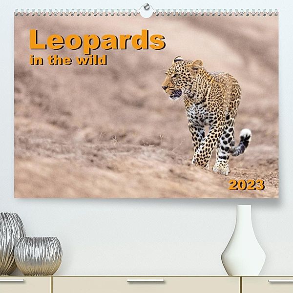 Leopards in the wild (Premium, hochwertiger DIN A2 Wandkalender 2023, Kunstdruck in Hochglanz), Dr. Gerd-Uwe Neukamp