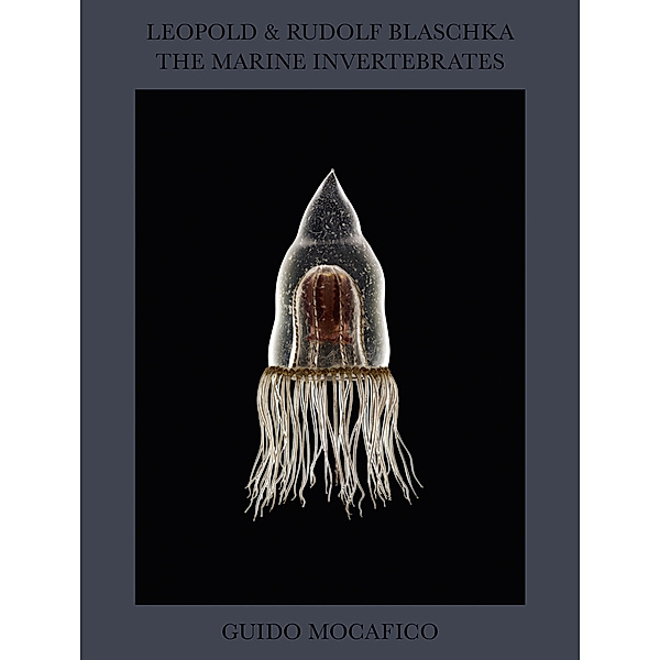 Leopold & Rudolf Blaschka. The Marine Invertebrates, Guido Mocafico