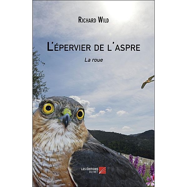 L'epervier de l'aspre, Wild Richard Wild