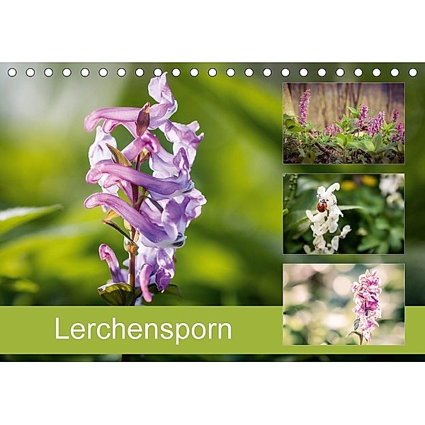 Lerchensporn (Tischkalender 2018 DIN A5 quer), Marlen Rasche