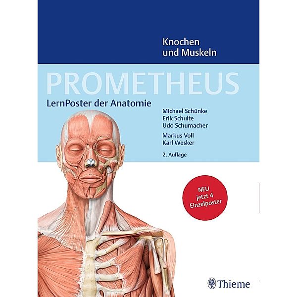 LernPoster der Anatomie, Knochen und Muskeln, 4 Poster, Michael Schünke, Erik Schulte, Udo Schumacher