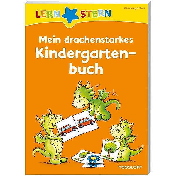 LERNSTERN. Mein drachenstarkes Kindergartenbuch, Julia Meyer