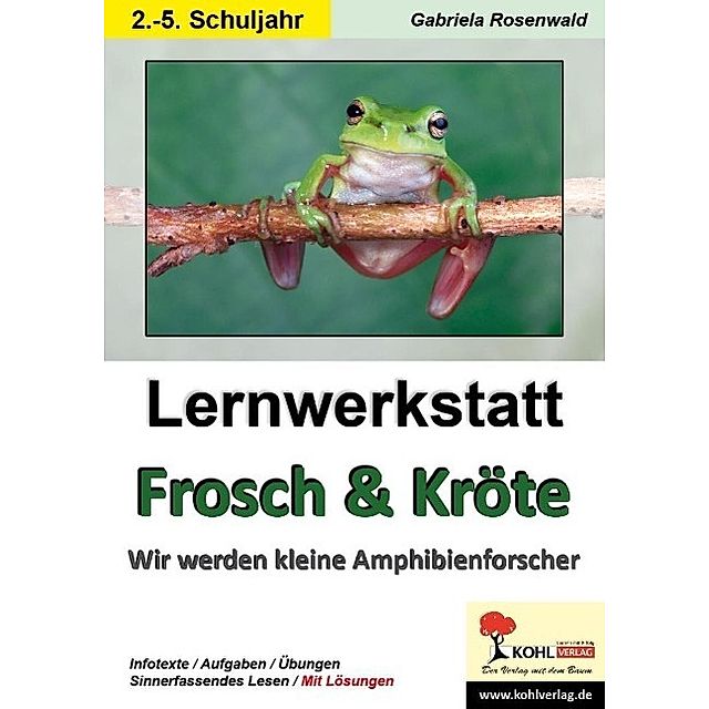 Lernwerkstatt Frosch & Kröte Buch versandkostenfrei bei Weltbild.ch