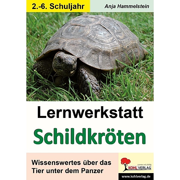Lernwerkstatt Schildkröten, Anja Hammelstein