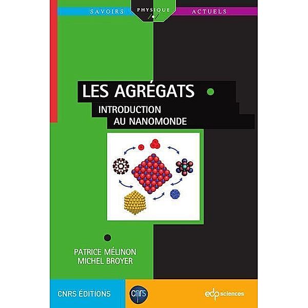 Les agrégats, Patrice Mélinon, Michel Broyer