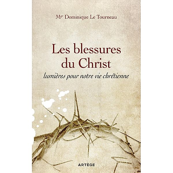 Les blessures du Christ, lumières pour notre vie chrétienne, Mgr Dominique Le Tourneau