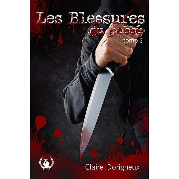 Les blessures du passé - Tome 3, Claire Dorigneux