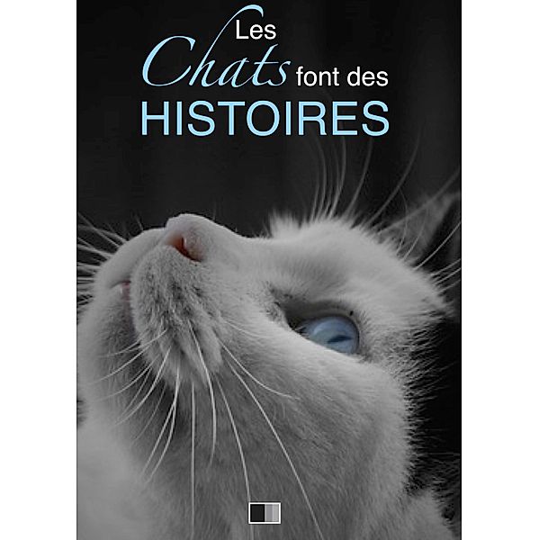 Les chats font des histoires, Collectif