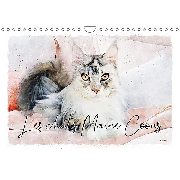 Les chats Maine Coons (Calendrier mural 2023 DIN A4 horizontal), Sudpastel