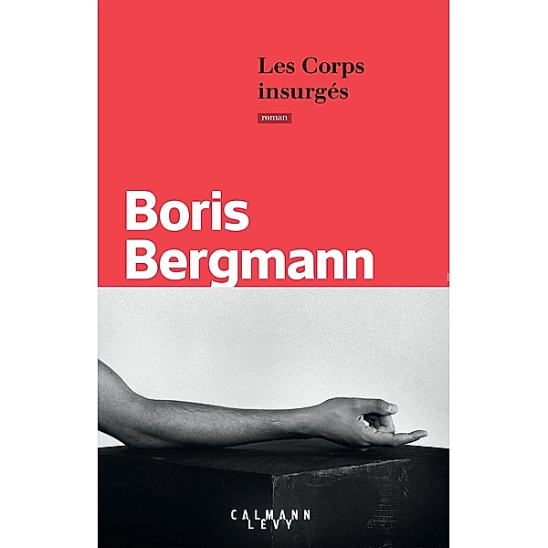Les Corps insurgés, Boris Bergmann